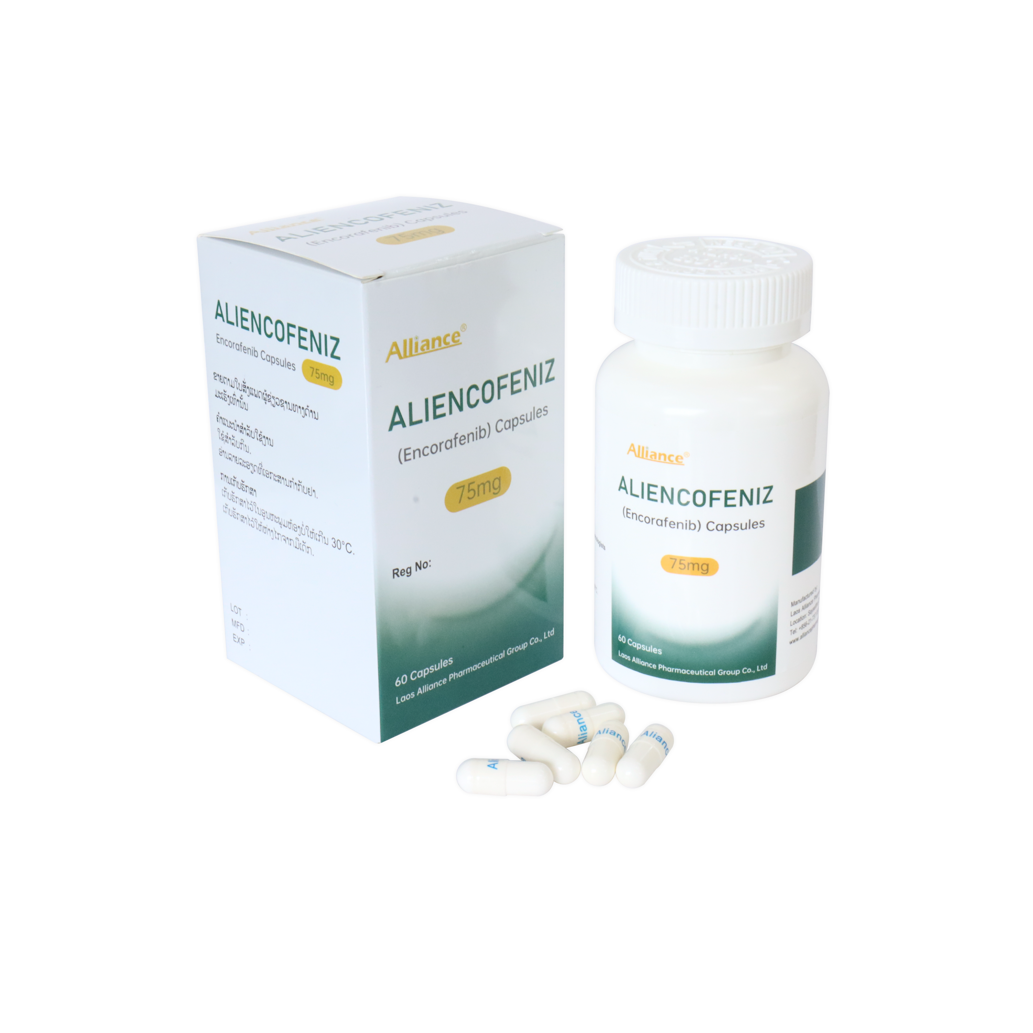 Ecofenil Aliencofeniz 75mg capsules 60 capsules/bottle combined pharmaceutical [Logistics aging 7-14 days]